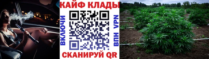 Какие есть наркотики Заводоуковск Каннабис Меф omg ГАШИШ