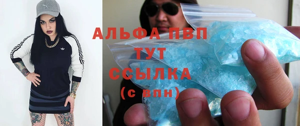 скорость Вяземский
