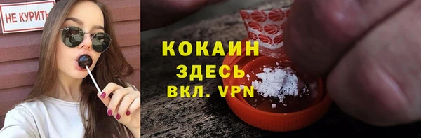 скорость Вяземский