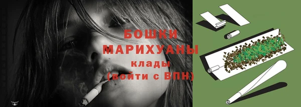 скорость Вяземский