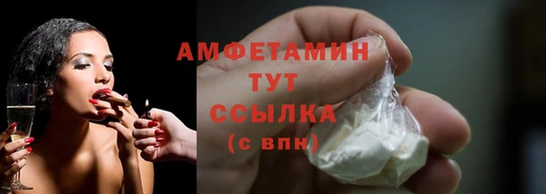 скорость Вяземский