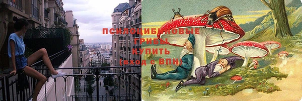 скорость Вяземский