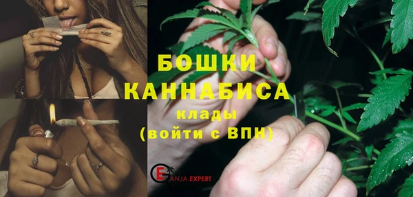 скорость Вяземский